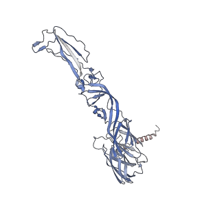 28644_8ewf_A_v1-0
CryoEM structure of Western equine encephalitis virus VLP in complex with the avian MXRA8 receptor