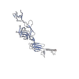 28644_8ewf_C_v1-0
CryoEM structure of Western equine encephalitis virus VLP in complex with the avian MXRA8 receptor