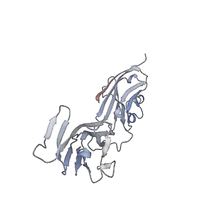 28644_8ewf_E_v1-0
CryoEM structure of Western equine encephalitis virus VLP in complex with the avian MXRA8 receptor