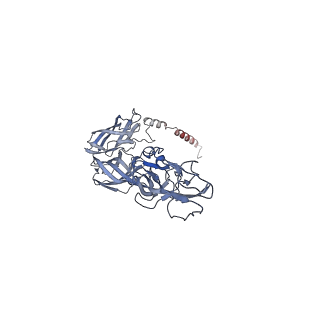 28644_8ewf_K_v1-0
CryoEM structure of Western equine encephalitis virus VLP in complex with the avian MXRA8 receptor