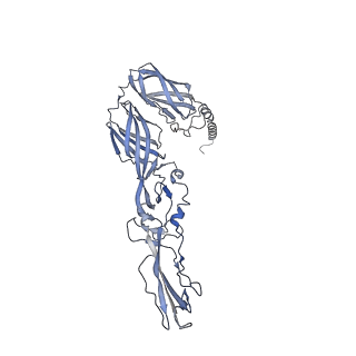 28644_8ewf_O_v1-0
CryoEM structure of Western equine encephalitis virus VLP in complex with the avian MXRA8 receptor