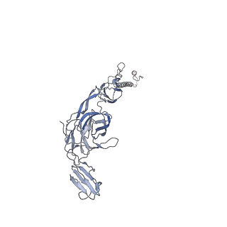 28644_8ewf_Q_v1-0
CryoEM structure of Western equine encephalitis virus VLP in complex with the avian MXRA8 receptor