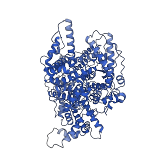 28645_8ewg_A_v1-1
Cryo-EM structure of a riboendonclease