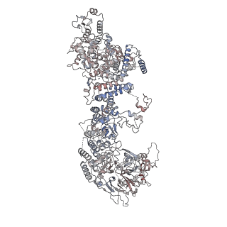 28646_8ewi_A_v1-2
Structure of the human UBR5 HECT-type E3 ubiquitin ligase in a tetrameric form