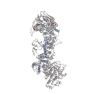 28646_8ewi_B_v1-2
Structure of the human UBR5 HECT-type E3 ubiquitin ligase in a tetrameric form