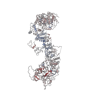 28646_8ewi_C_v1-2
Structure of the human UBR5 HECT-type E3 ubiquitin ligase in a tetrameric form