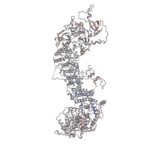 28646_8ewi_D_v1-2
Structure of the human UBR5 HECT-type E3 ubiquitin ligase in a tetrameric form