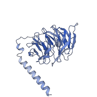 31343_7ew0_B_v1-1
Cryo-EM structure of ozanimod -bound Sphingosine-1-phosphate receptor 1 in complex with Gi protein