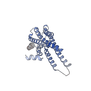 31343_7ew0_D_v1-1
Cryo-EM structure of ozanimod -bound Sphingosine-1-phosphate receptor 1 in complex with Gi protein