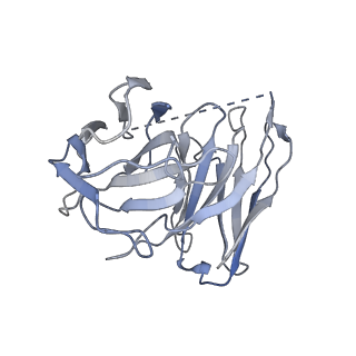 31343_7ew0_E_v1-1
Cryo-EM structure of ozanimod -bound Sphingosine-1-phosphate receptor 1 in complex with Gi protein