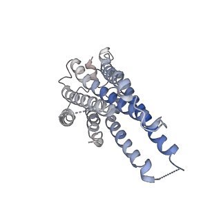31344_7ew1_A_v1-1
Cryo-EM structure of siponimod -bound Sphingosine-1-phosphate receptor 5 in complex with Gi protein