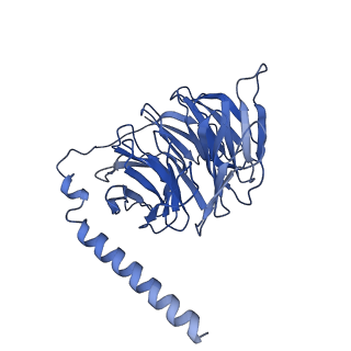 31344_7ew1_B_v1-1
Cryo-EM structure of siponimod -bound Sphingosine-1-phosphate receptor 5 in complex with Gi protein