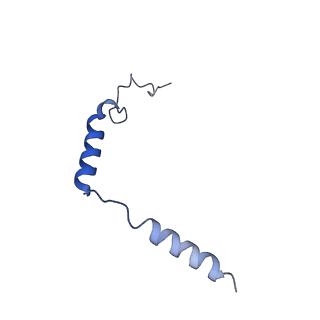 31344_7ew1_C_v1-1
Cryo-EM structure of siponimod -bound Sphingosine-1-phosphate receptor 5 in complex with Gi protein