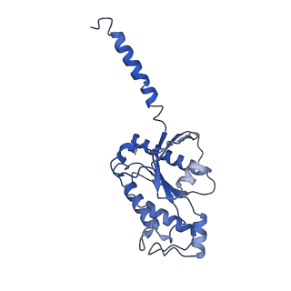 31344_7ew1_D_v1-1
Cryo-EM structure of siponimod -bound Sphingosine-1-phosphate receptor 5 in complex with Gi protein