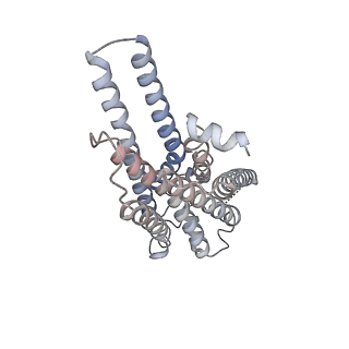 31345_7ew2_R_v1-1
Cryo-EM structure of pFTY720-bound Sphingosine 1-phosphate receptor 3 in complex with Gi protein