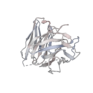 31345_7ew2_S_v1-1
Cryo-EM structure of pFTY720-bound Sphingosine 1-phosphate receptor 3 in complex with Gi protein