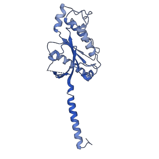 31346_7ew3_A_v1-1
Cryo-EM structure of S1P-bound Sphingosine 1-phosphate receptor 3 in complex with Gi protein