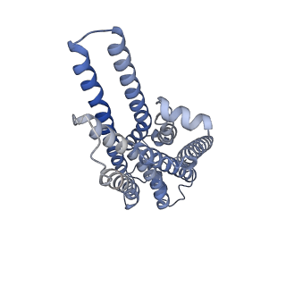 31346_7ew3_R_v1-1
Cryo-EM structure of S1P-bound Sphingosine 1-phosphate receptor 3 in complex with Gi protein