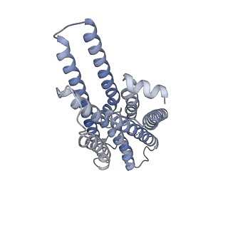 31347_7ew4_R_v1-1
Cryo-EM structure of CYM-5541-bound Sphingosine 1-phosphate receptor 3 in complex with Gi protein