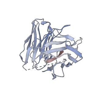 31347_7ew4_S_v1-1
Cryo-EM structure of CYM-5541-bound Sphingosine 1-phosphate receptor 3 in complex with Gi protein