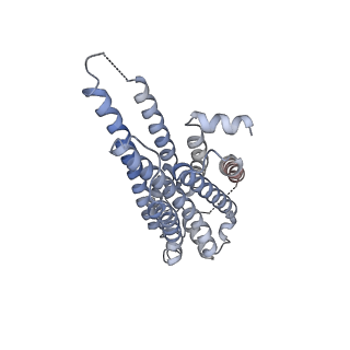 31349_7ew7_D_v1-1
Cryo-EM structure of SEW2871-bound Sphingosine-1-phosphate receptor 1 in complex with Gi protein