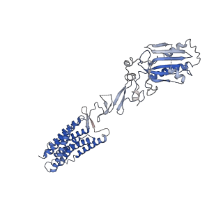 31351_7ewl_B_v1-1
cryo-EM structure of apo GPR158