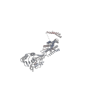 31360_7ewp_A_v1-1
Cryo-EM structure of human GPR158 in complex with RGS7-Gbeta5 in a 2:1:1 ratio