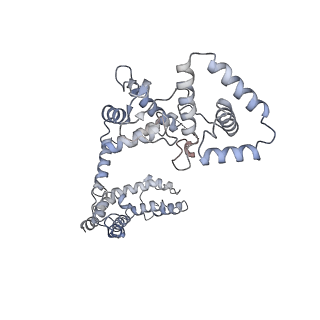 31360_7ewp_C_v1-1
Cryo-EM structure of human GPR158 in complex with RGS7-Gbeta5 in a 2:1:1 ratio