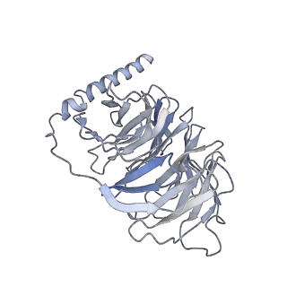 31360_7ewp_D_v1-1
Cryo-EM structure of human GPR158 in complex with RGS7-Gbeta5 in a 2:1:1 ratio