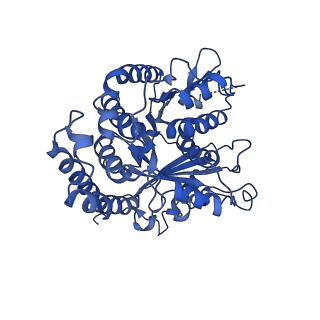 3965_6ew0_A_v1-3
Cryo-EM structure of GDP-microtubule co-polymerised with doublecortin and supplemented with Taxol