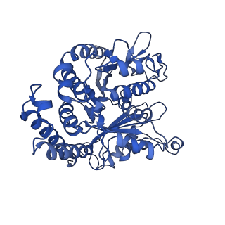 3965_6ew0_B_v1-3
Cryo-EM structure of GDP-microtubule co-polymerised with doublecortin and supplemented with Taxol