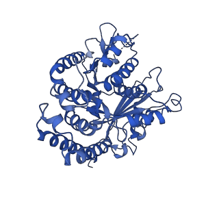 3965_6ew0_C_v1-3
Cryo-EM structure of GDP-microtubule co-polymerised with doublecortin and supplemented with Taxol