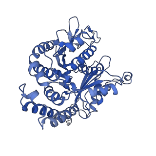 3965_6ew0_D_v1-3
Cryo-EM structure of GDP-microtubule co-polymerised with doublecortin and supplemented with Taxol