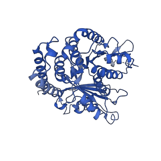 3965_6ew0_E_v1-3
Cryo-EM structure of GDP-microtubule co-polymerised with doublecortin and supplemented with Taxol