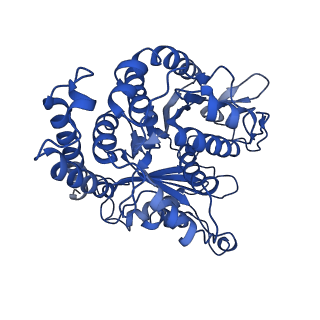 3965_6ew0_F_v1-3
Cryo-EM structure of GDP-microtubule co-polymerised with doublecortin and supplemented with Taxol