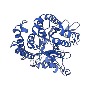 3965_6ew0_G_v1-3
Cryo-EM structure of GDP-microtubule co-polymerised with doublecortin and supplemented with Taxol