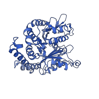 3965_6ew0_H_v1-3
Cryo-EM structure of GDP-microtubule co-polymerised with doublecortin and supplemented with Taxol