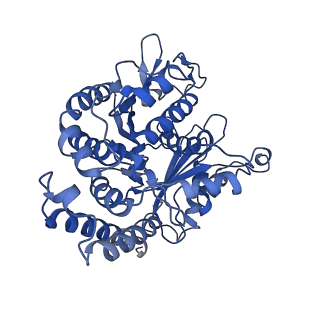3965_6ew0_I_v1-3
Cryo-EM structure of GDP-microtubule co-polymerised with doublecortin and supplemented with Taxol