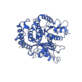 3965_6ew0_J_v1-3
Cryo-EM structure of GDP-microtubule co-polymerised with doublecortin and supplemented with Taxol