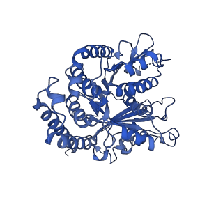 3965_6ew0_K_v1-3
Cryo-EM structure of GDP-microtubule co-polymerised with doublecortin and supplemented with Taxol