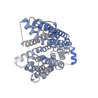 28653_8ex7_A_v1-2
Human S1P transporter Spns2 in an outward-facing partially occluded conformation (state 3)