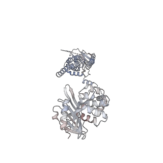 28658_8exp_A_v1-2
Cryo-EM structure of S. aureus BlaR1 with C2 symmetry