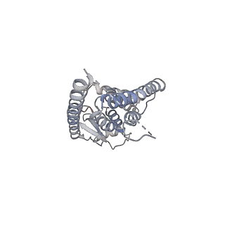28660_8exr_A_v1-2
Cryo-EM structure of S. aureus BlaR1 TM and zinc metalloprotease domain