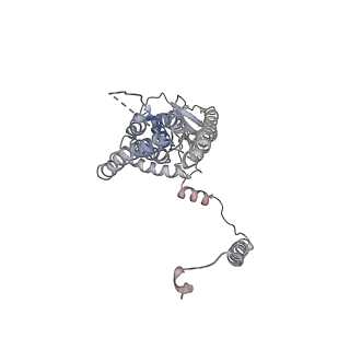28660_8exr_B_v1-2
Cryo-EM structure of S. aureus BlaR1 TM and zinc metalloprotease domain