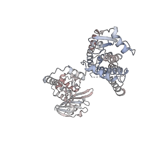 28662_8ext_B_v1-2
Cryo-EM structure of S. aureus BlaR1 F284A mutant in complex with ampicillin