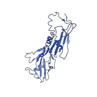 28665_8exy_B_v1-1
M. tuberculosis RNAP paused complex with B. subtilis NusG and GMPCPP