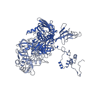 28665_8exy_C_v1-1
M. tuberculosis RNAP paused complex with B. subtilis NusG and GMPCPP