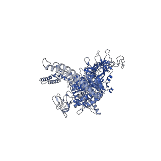 28665_8exy_D_v1-1
M. tuberculosis RNAP paused complex with B. subtilis NusG and GMPCPP