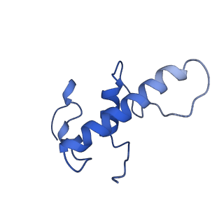28665_8exy_E_v1-1
M. tuberculosis RNAP paused complex with B. subtilis NusG and GMPCPP