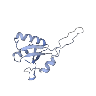 28665_8exy_G_v1-1
M. tuberculosis RNAP paused complex with B. subtilis NusG and GMPCPP